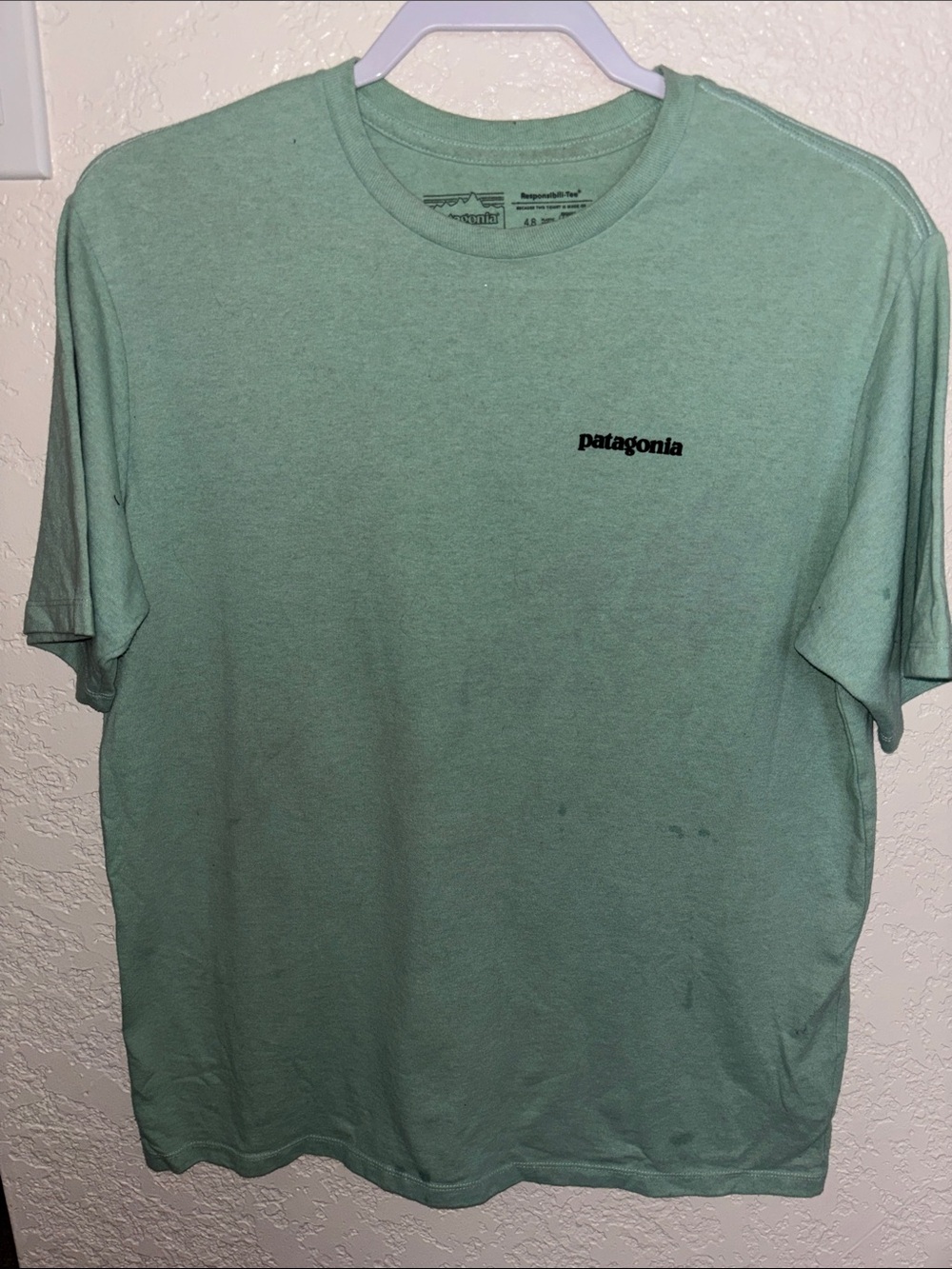 Patagonia Mint Green Short Sleeve Logo Tee